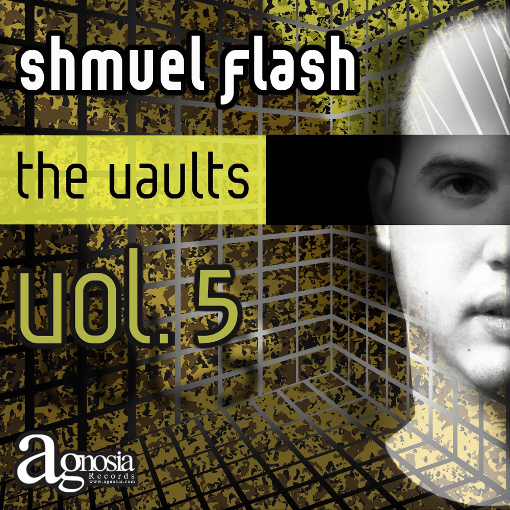 Обложка альбома «The Vaults, Vol. 5» — Shmuel Flash