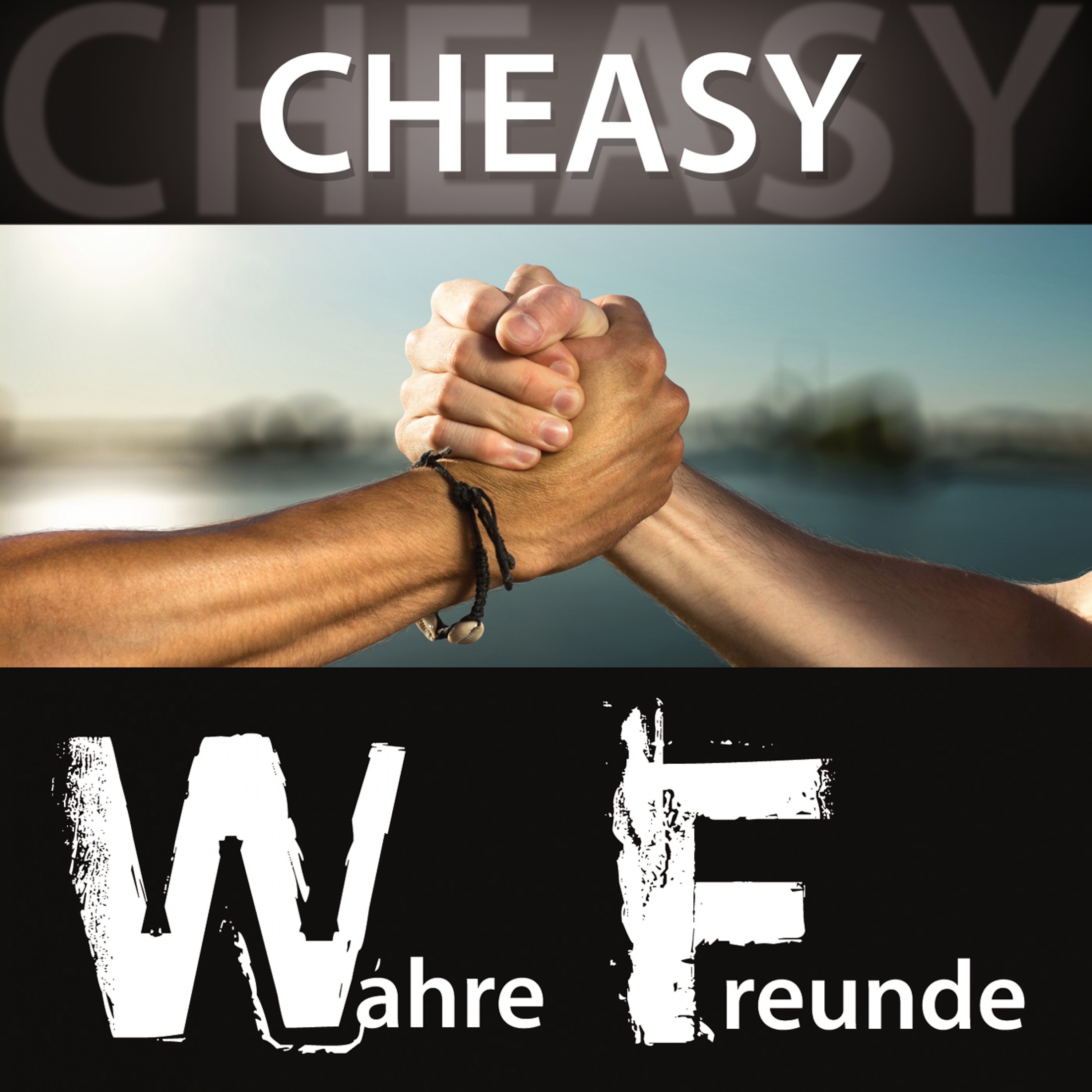 Wahre Freunde (Remixes) - Single