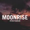 Moonrise artwork