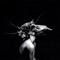 Floats By (feat. Powerdove) - William Ryan Fritch lyrics
