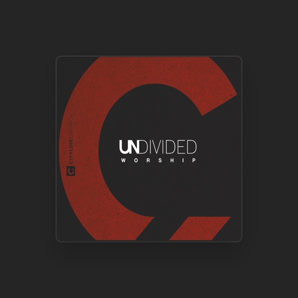 Undivided's avatar