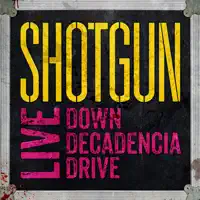 Don't Care Bout Nothin' (Live) — Shotgun