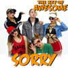 Sorry - Parody of Justin Bieber's "Sorry" - The Key of Awesome