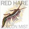 Silverfish (Ungodly Grace, This Is Our Curse) - Red Hare lyrics