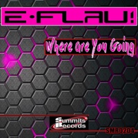 Where Are You Going - Single - DJ E-Flau!