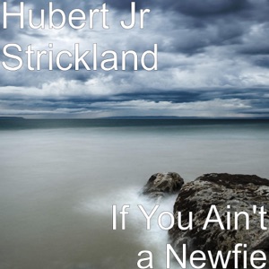 Hubert Jr Strickland & Route 480 - If You Ain't a Newfie - 排舞 音乐