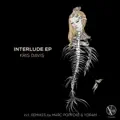 Interlude (Marc Poppcke Remix)