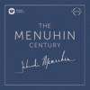 Yehudi Menuhin & Jeremy Menuhin - Piano Trio in B-Flat Major, D. 28, 'Sonatensatz'