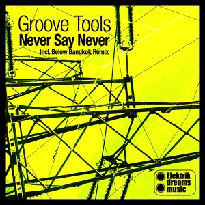 Never Say Never - Single
