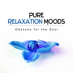 Pure Relaxation Moods: Oasis of Zen Meditation Music, Wellness Spa Lounge, Odyssey for the Soul, Healing Massage Music