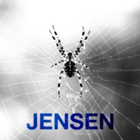 JENSEN - Single - Kenneth Engebretsen