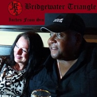 Bridgewater Triangle - Inches From Sin