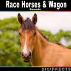 Horse Eating Carrots in Stable