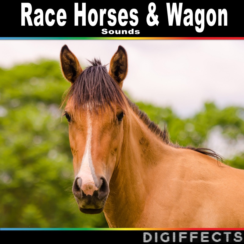 Race Horses & Wagon Sounds