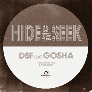 Hide & Seek (feat. Gosha) - Single