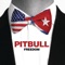 Freedom - Pitbull lyrics