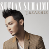 Sufian Suhaimi - Terakhir artwork