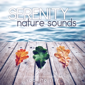 Serenity Nature Sounds: Yoga to Life - Healing Therapy Music for Find Your Inner Peace and Meditation