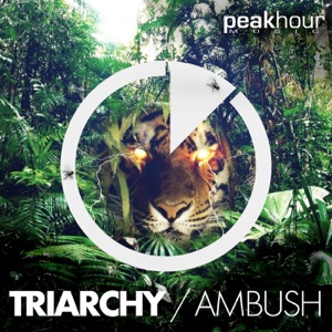 Ambush - Single