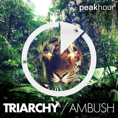 Ambush - Single