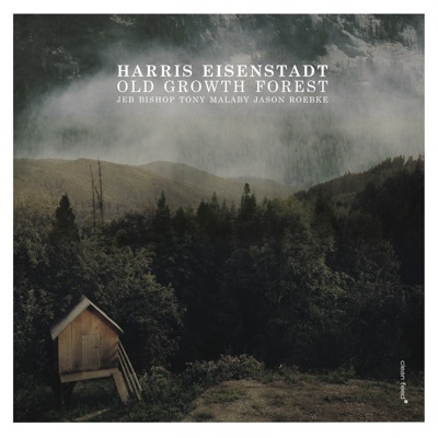 Old Growth Forest (feat. Jeb Bishop, Tony Malaby & Jason Roebke)