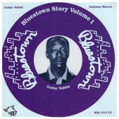 Bluestown Story, Vol. 1