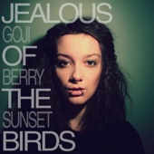 Jealous of the Birds - Goji Berry Sunset