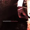 Lights The Way