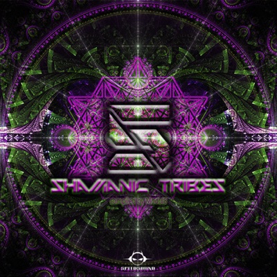 Shamanic Tribes 5, compiled by Modul8