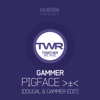 Pigface (Dougal & Gammer Edit) cover art