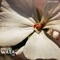 Wata Ki (JFlores Remix) - Miguel Resendiz lyrics