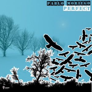 Perfect - EP