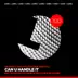 Can You Handle It (feat. Bruna Liz) [The Subs Dub Remix] song reviews