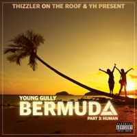 Bermuda, Pt. 3: Human - Young Gully