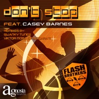 Don't Stop (feat. Casey Barnes) - EP - Flash Brothers