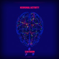 Subtraum - Neuronal Activity (part one)