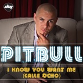 Pitbull - I Know You Want Me (Calle Ocho) - More English Radio Edit