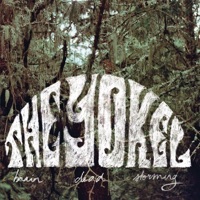 The Yokel - Indian Feather