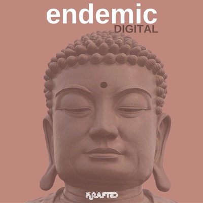 In Control EP