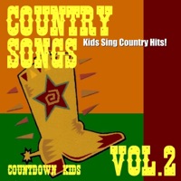 Country Songs Vol.2