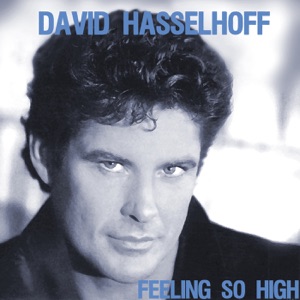 David Hasselhoff - Everybody Sunshine - 排舞 音乐