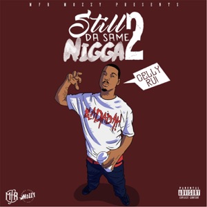Still da Same N***a 2