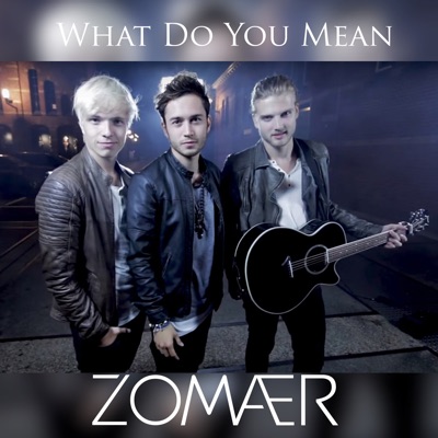 What Do You Mean - Single