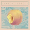 Virgin Suicide - Sedate Me