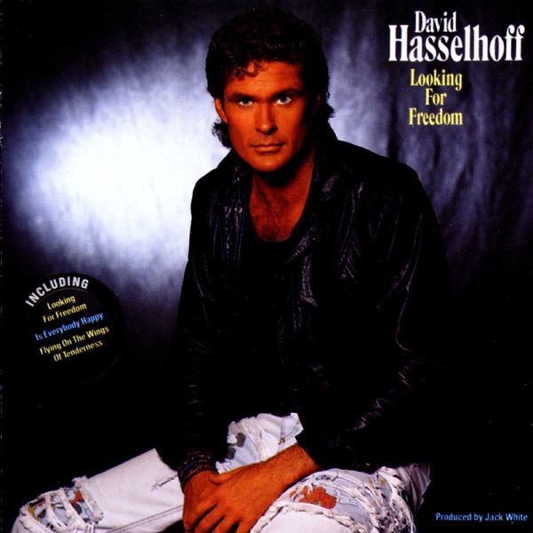 DAVID HASSELHOFF LOOKING FOR FREEDOM