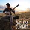 Endless Summer - Single