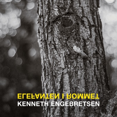 Elefanten I Rommet - Single