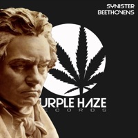 Beethovens - Single - Synister