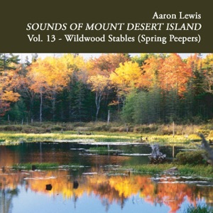 Sounds of Mount Desert Island, Vol. 13: Wildwood Stables (Spring Peepers)