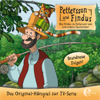 Sven Nordqvist - Wie Findus zu Pettersson kam und andere Geschichten (Pettersson und Findus) artwork